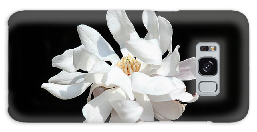 Flower Galaxy Case featuring the photograph Magnolia Blossom by Trina Ansel