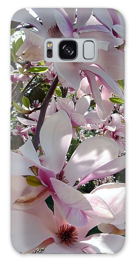 Magnolias Galaxy S8 Case featuring the photograph Magnolias in the Shade by Vickie G Buccini