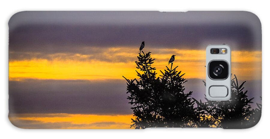 Magpies Galaxy Case featuring the photograph Magpies at Sunrise by James Truett