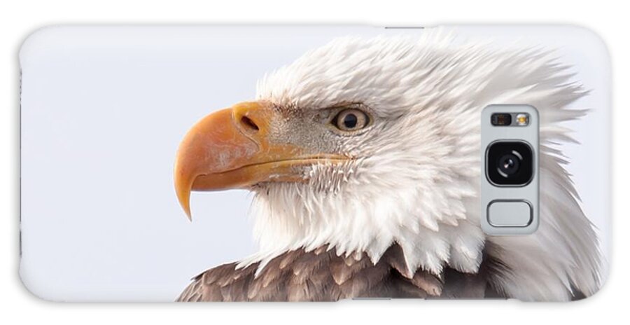 Eagle Galaxy S8 Case featuring the photograph Majestic by Donald J Gray
