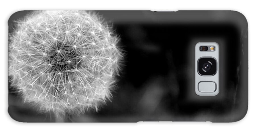 Wish Galaxy Case featuring the photograph Make a Wish by Debra Fedchin