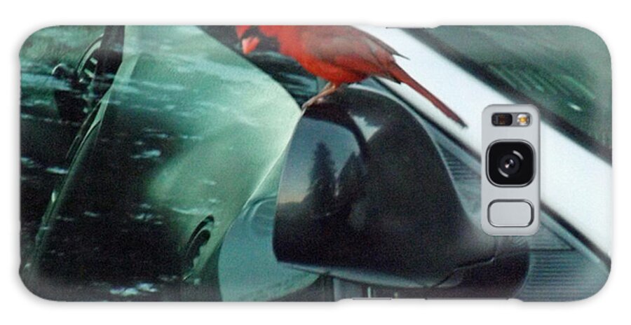 Bird Galaxy Case featuring the photograph Male Cardinal Admiring his reflection by Brenda Brown