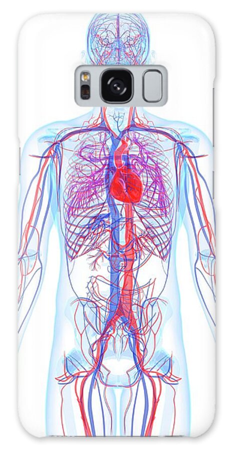 White Background Galaxy Case featuring the digital art Male Cardiovascular System, Artwork by Sciepro