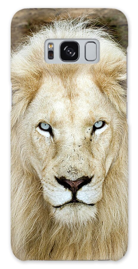 Panthera Leo Krugeri Galaxy Case featuring the photograph Male White Lion by Tony Camacho/science Photo Library