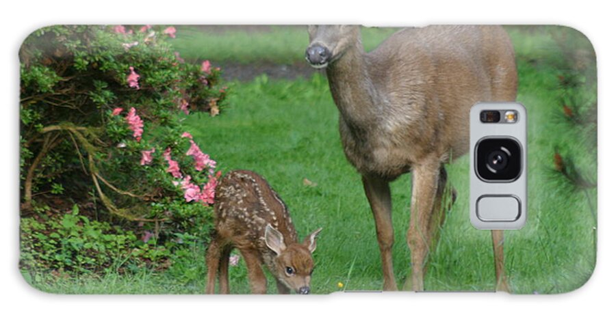 Animals Galaxy S8 Case featuring the photograph Mama Deer And Baby Bambi by Kym Backland