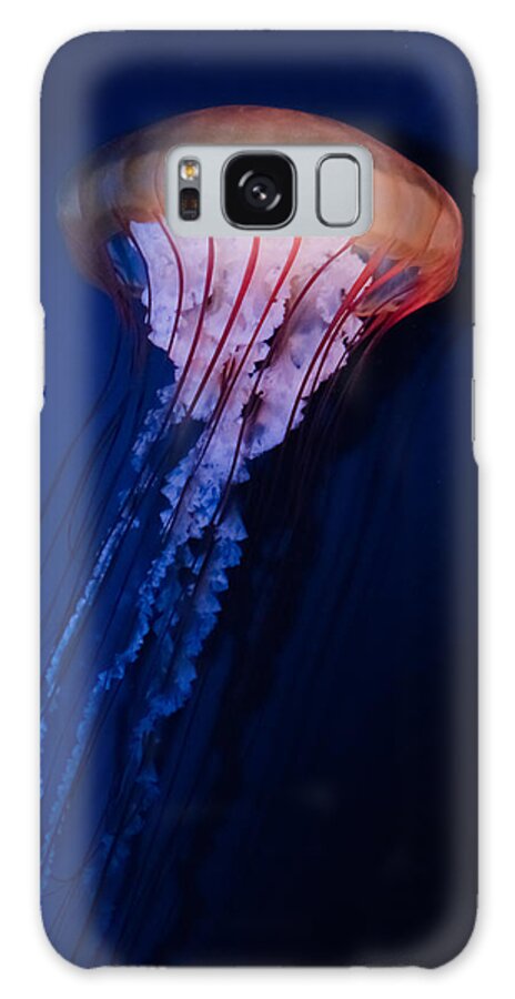 Jellyfish Galaxy Case featuring the photograph Man of War Jellyfish by Renee Barnes