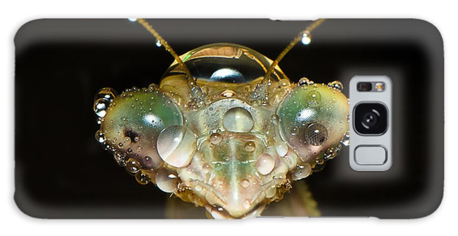 Macro Galaxy Case featuring the photograph Mantis by Tin Lung Chao
