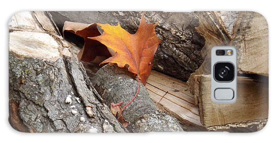 Leaf Galaxy Case featuring the photograph Maple Leaf in wood pile by Brenda Brown