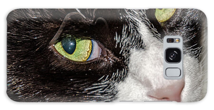 Cats Galaxy Case featuring the photograph Marcus by Winnie Chrzanowski