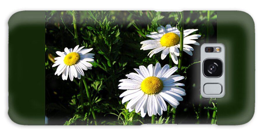 Daisy Galaxy Case featuring the photograph Margeritaville by Gigi Dequanne