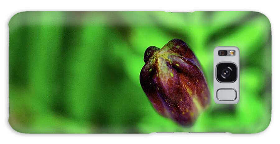 Botany Galaxy Case featuring the photograph Marigold Bud by Scott Carlton