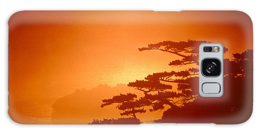 Marin County Galaxy Case featuring the photograph Marin County Sunset Fog by Wernher Krutein