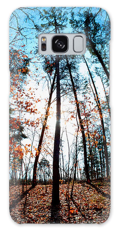 Mark Twain Forest Galaxy Case featuring the photograph Mark Twain Forest by Jon Emery