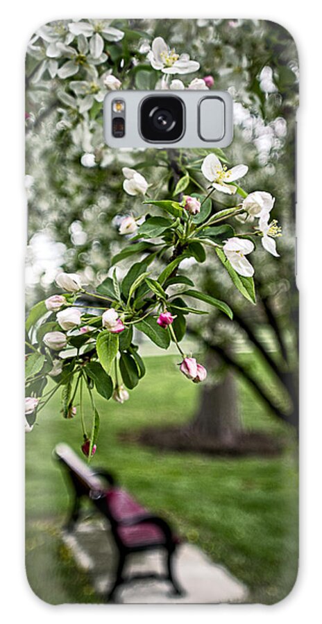 Spring Galaxy Case featuring the photograph Mary's Tree and Bench by Wayne Meyer