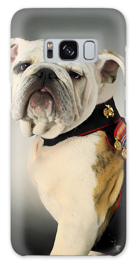 United States Marine Corps Galaxy Case featuring the photograph Mascot of the United States Marine Corps by Mountain Dreams