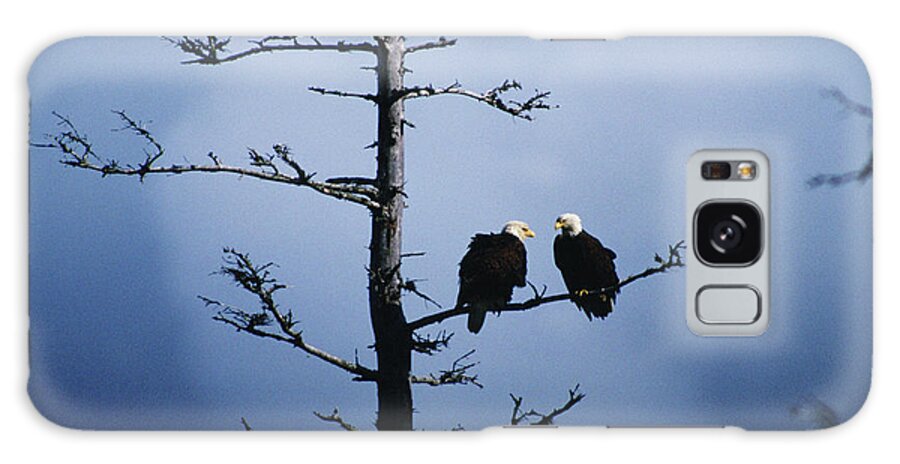 Alaska Galaxy Case featuring the photograph Mated Pair Of American Bald Eagles by Cary Anderson