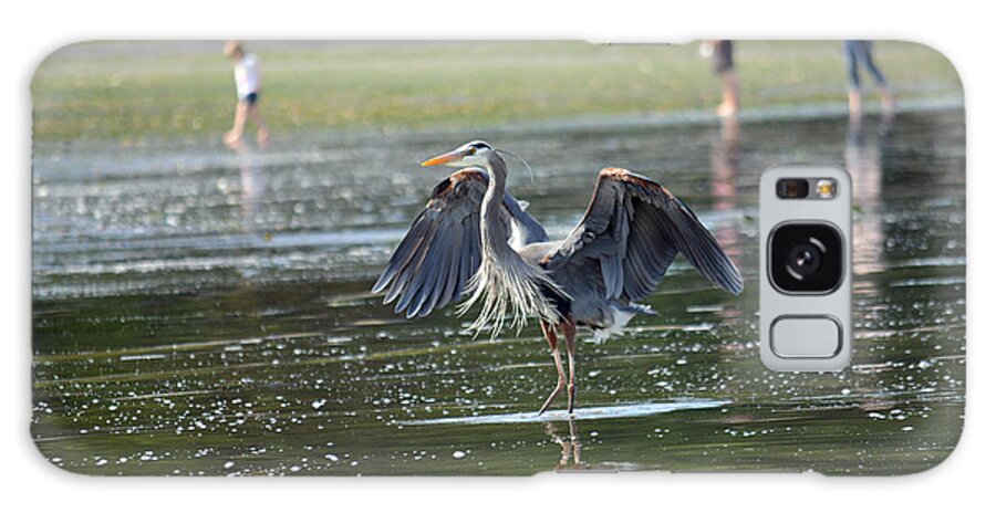Heron Galaxy S8 Case featuring the photograph May Day Waders by Gayle Swigart