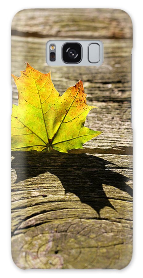 Leaf Galaxy Case featuring the photograph Me and my Shadow 2 by Mary Bedy