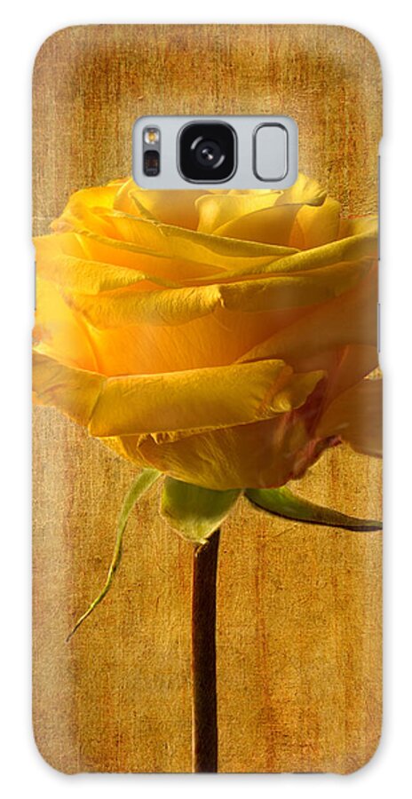 Yellow Rose Galaxy Case featuring the photograph Mellow Yellow by Marina Kojukhova