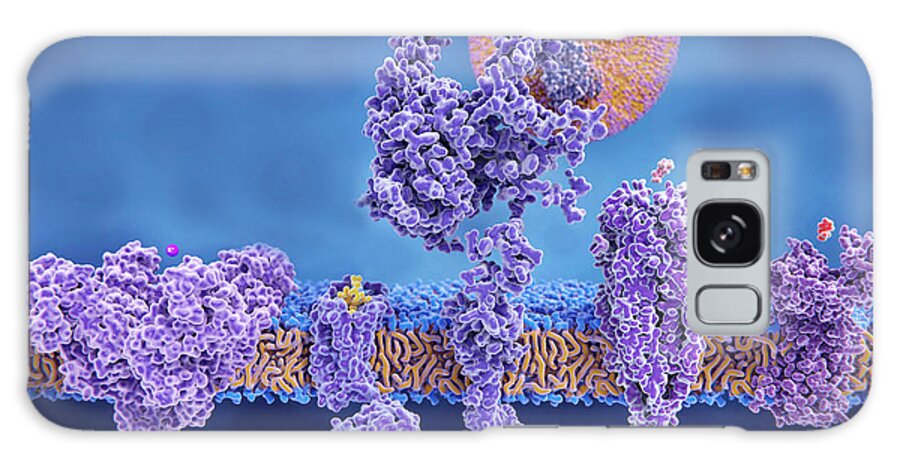 Acetyl Choline Galaxy Case featuring the photograph Membrane Proteins, Illustration by Juan Gaertner