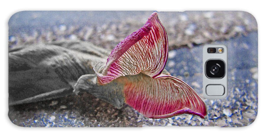 Butterfly Galaxy Case featuring the photograph Metamorphosis by Casper Cammeraat