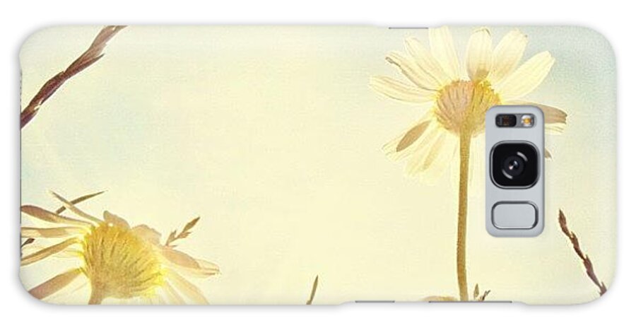 Summer Galaxy Case featuring the photograph #mgmarts #daisy #all_shots #dreamy by Marianna Mills