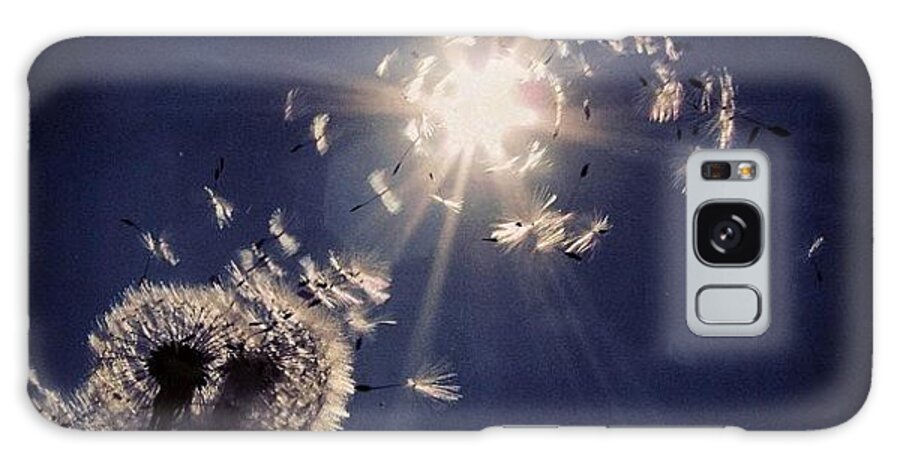 Art Galaxy Case featuring the photograph #mgmarts #dandelion #wish #makeawish by Marianna Mills