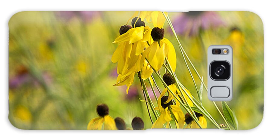 Steve White Galaxy Case featuring the photograph Michigan Wild Flowers by Steve White