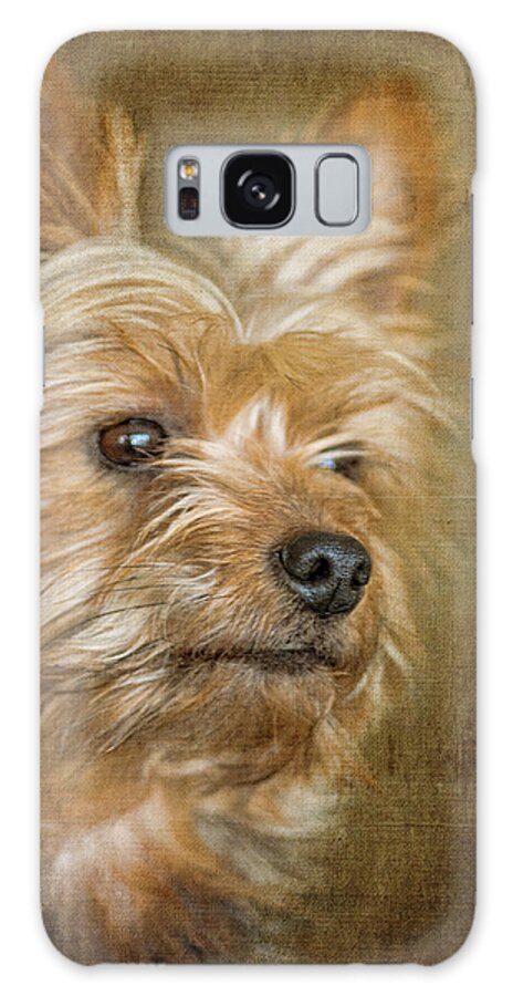 Yorkshire Terrier Galaxy S8 Case featuring the photograph Mickey by Cathy Kovarik