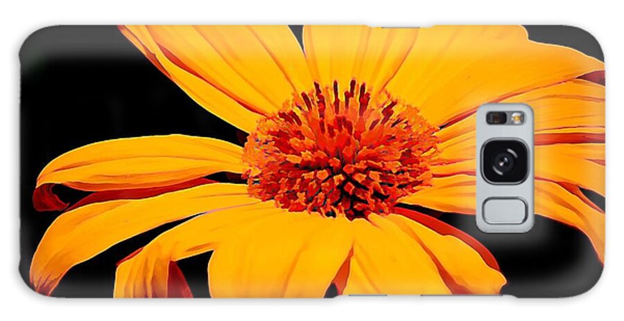 Flower Galaxy Case featuring the photograph Midnight Marigold by Jean Connor