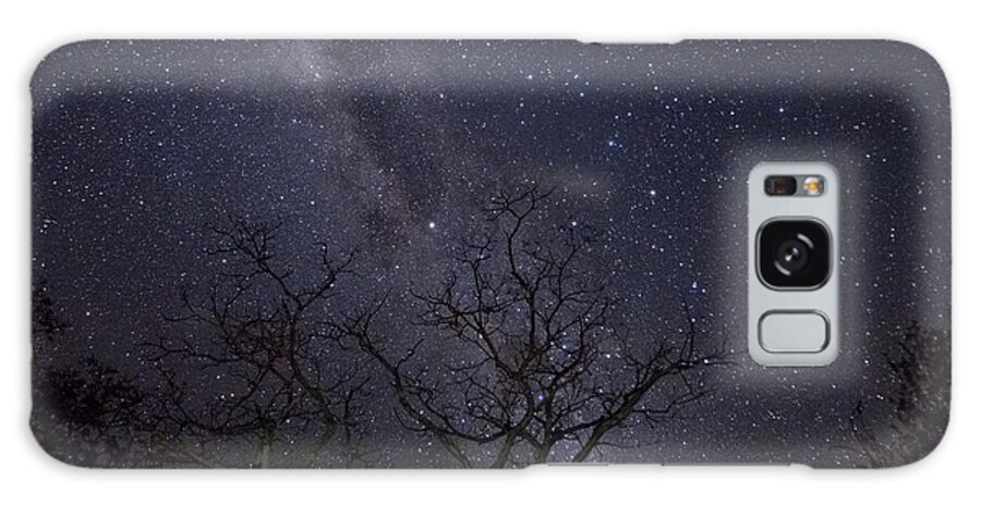 496558 Galaxy Case featuring the photograph Milky Way During The Dry Season by Piotr Naskrecki