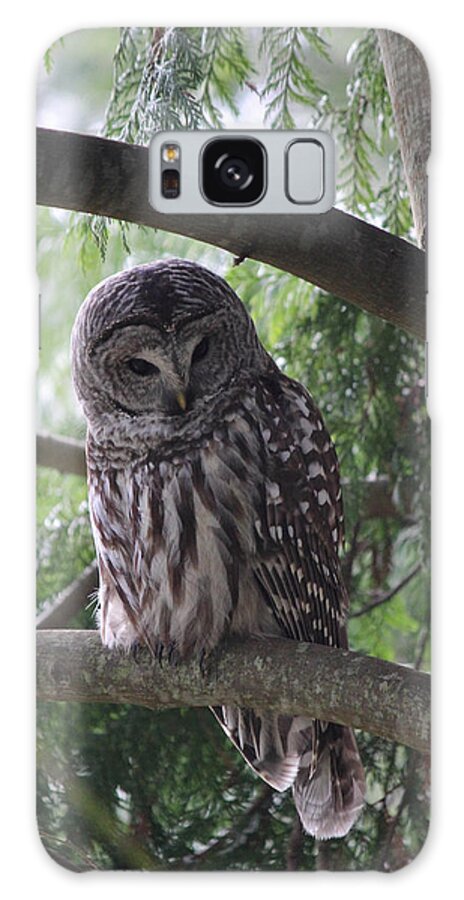 Owl Galaxy S8 Case featuring the photograph Missing His Friend by Randy Hall