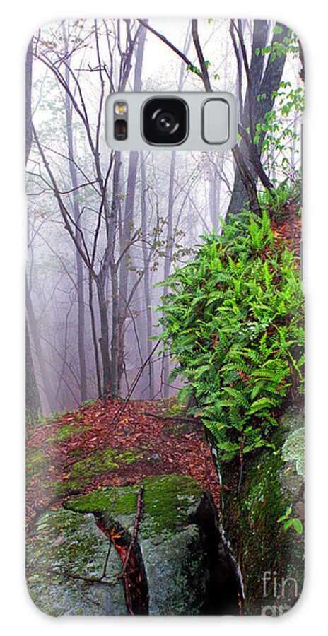West Virginia Galaxy Case featuring the photograph Misty Morning in the Woods by Thomas R Fletcher