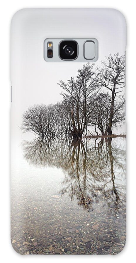 Trees Galaxy Case featuring the photograph Misty Trees by Grant Glendinning