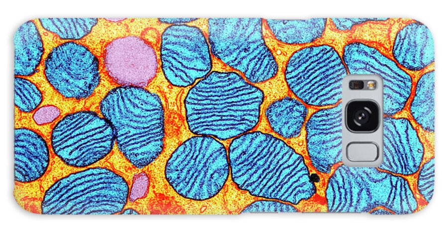 Mitochondrion Galaxy Case featuring the photograph Mitochondria by Cnri