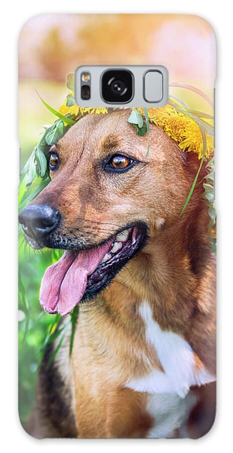Domestic Animals Galaxy Case featuring the photograph Mixed Breed Dog In In Dandelion Hair by Vicuschka