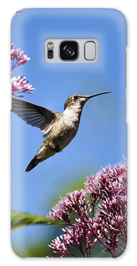Hummingbird Galaxy Case featuring the photograph Modern Beauty by Christina Rollo