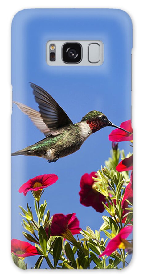 Hummingbird Galaxy S8 Case featuring the photograph Moments of Joy by Christina Rollo