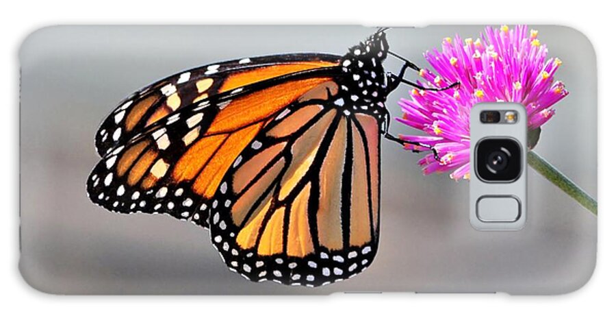 Butterflies Galaxy Case featuring the photograph Monarch On A Pink Flower by Kathy Baccari