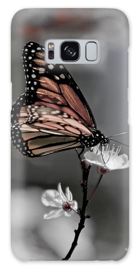 Monarch Butterfly Galaxy Case featuring the photograph Monarch On Blossom by Her Arts Desire