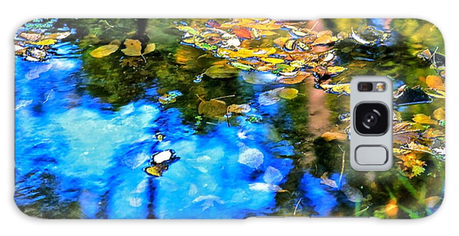  Monet's Gardens Galaxy Case featuring the photograph Monet's Garden by Ira Shander