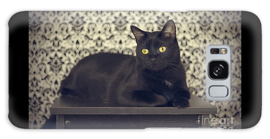 Cat Galaxy Case featuring the photograph Mongo The Robust Cat by Jennifer Ramirez