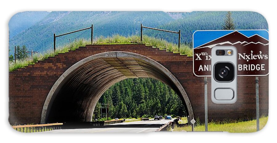 Landscape Galaxy Case featuring the photograph Montana Highway - #2 Animals' Bridge by Kae Cheatham