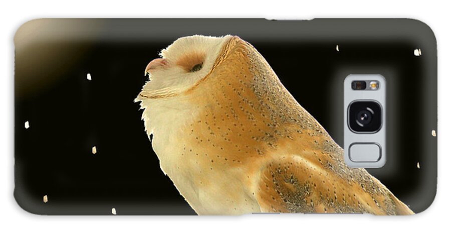 Nature Galaxy Case featuring the photograph Moon Owl by Peggy Urban