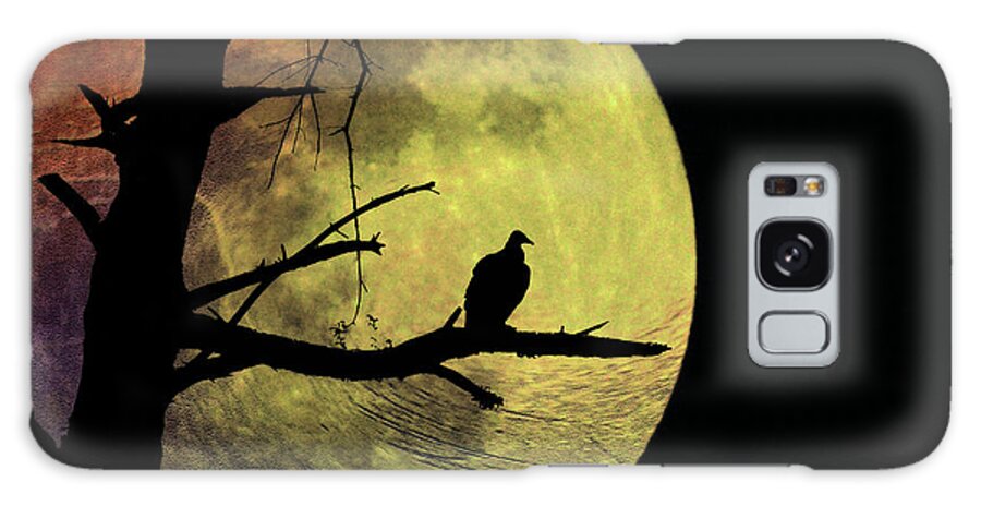 Vulture Galaxy Case featuring the photograph Moonlight Mile by Bill Cannon