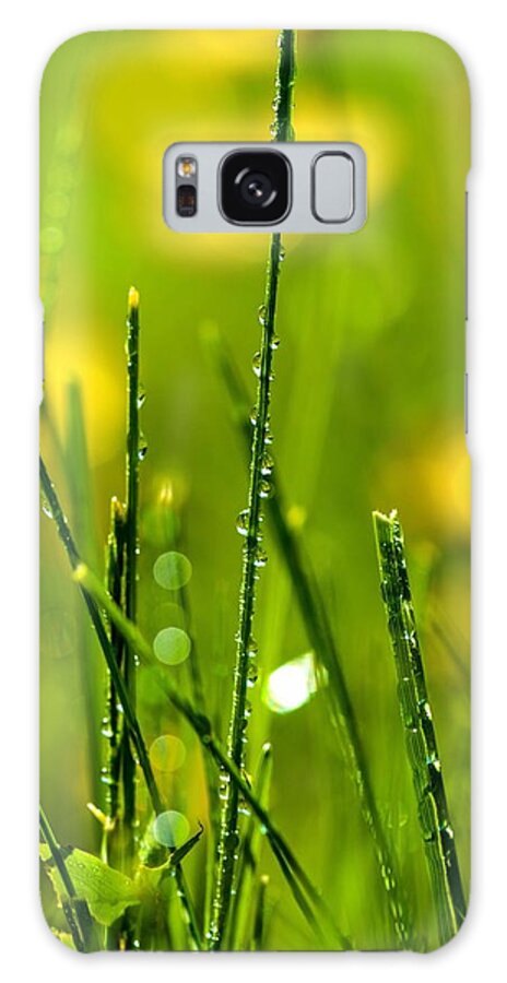 Macro Galaxy Case featuring the photograph Morning Dew by Bruce Pritchett