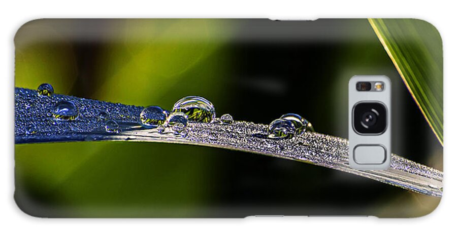 Nature Galaxy Case featuring the photograph Morning Dew On Grass Blade by Michael Whitaker