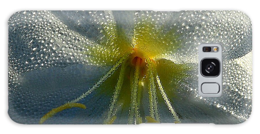 Nature Galaxy Case featuring the photograph Morning Dew by Steven Reed
