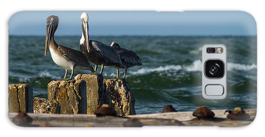 Pelican Galaxy Case featuring the photograph Morning Fishing by Russ Burch