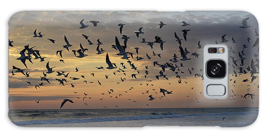 Beach Galaxy Case featuring the photograph Morning Flight by Jerry Hart